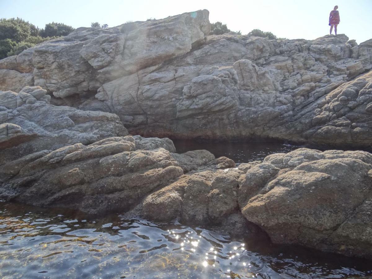 Struma Dolinata Beach Олимпиада Экстерьер фото